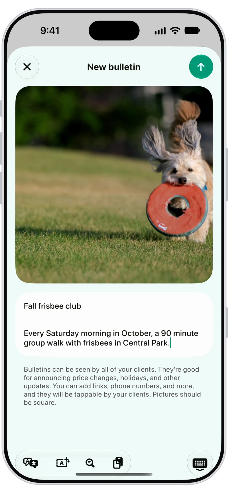 New bulletin in Walkies with a photo of a dog, a title and a message