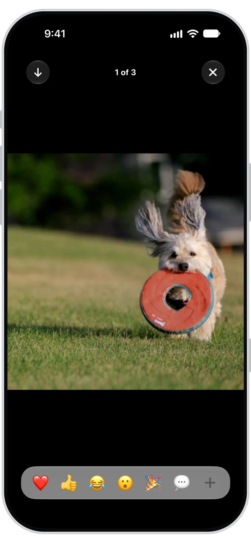 Full-screen walk photo in the Walkies Journal app with emoji reactions