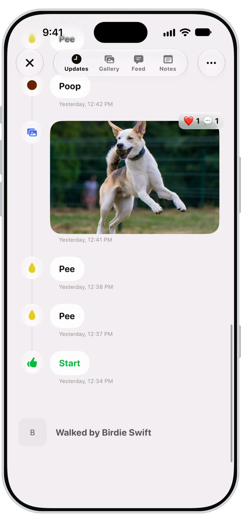 Walk report in the Walkies Journal app with a photo, pees and poops on the timeline