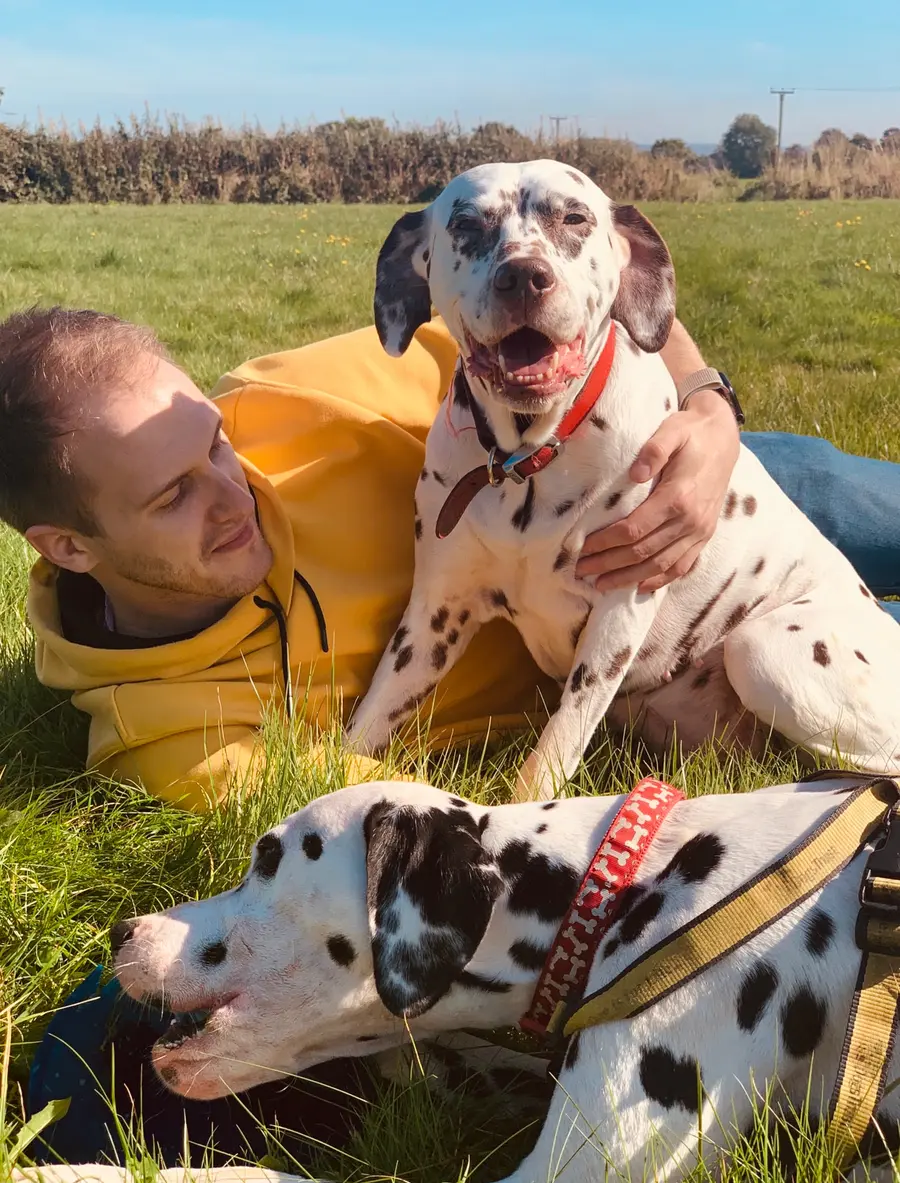Rob Swift, founder of Walkies, with his family's Dalmatians Daisy and Gatsby